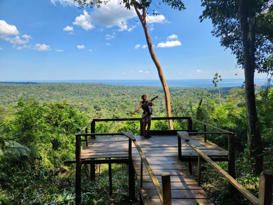 Melhor época para visitar a FLONA do Tapajós - Alter do Chão - PA - Vamos Trilhar