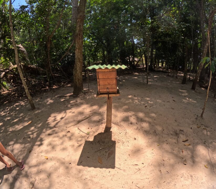 Meliponário na Comunidade Coroca - Passeio das Tartarugas Amazônicas - Alter do Chão - PA - Vamos Trilhar