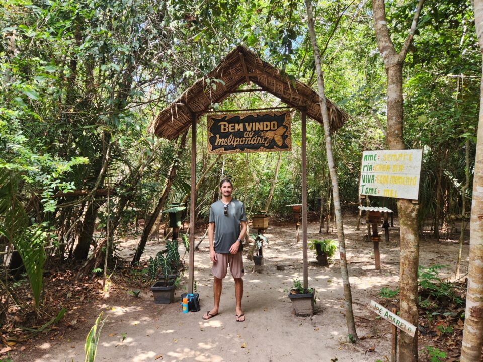 Meliponário na Comunidade Coroca - Passeio das Tartarugas Amazônicas - Alter do Chão - PA - Vamos Trilhar