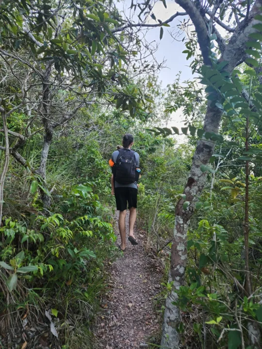Nossa experiência na trilha da Serra da Piraoca - Alter do Chão - PA - Vamos Trilhar