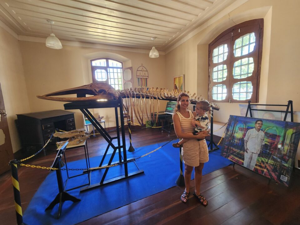 Ossada de Baleia Jubarte no Centro Cultural João Fona - City Tour em Santarém - Alter do Chão - PA - Vamos Trilhar
