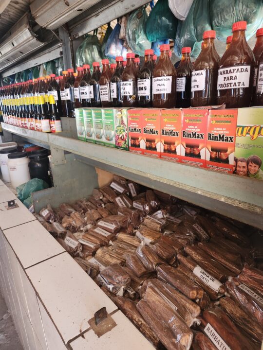 Peixes no Mercadão 2000 - City Tour em Santarém - Alter do Chão - PA - Vamos Trilhar