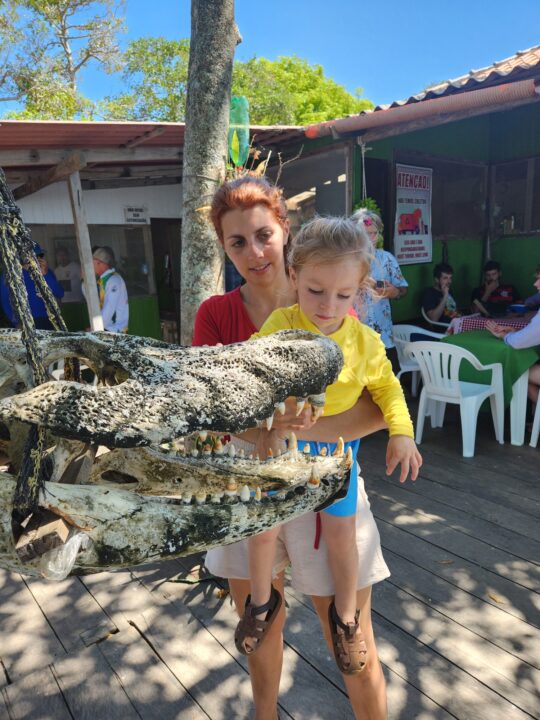Perguntas Frequentes sobre o Jardim de Vitórias-régia da Dona Dulce - Alter do Chão - PA - Vamos Trilhar