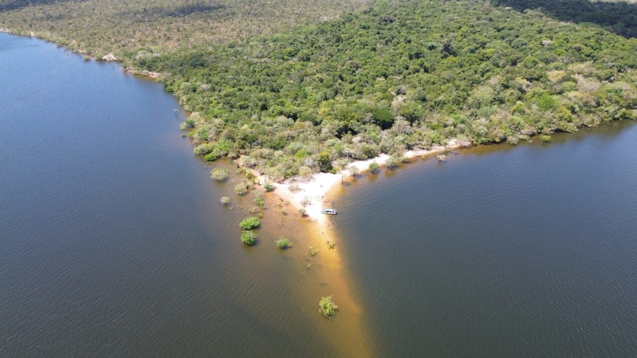 Praia da Valéria - Floresta Encantanda - Alter do Chão - PA - Vamos Trilhar