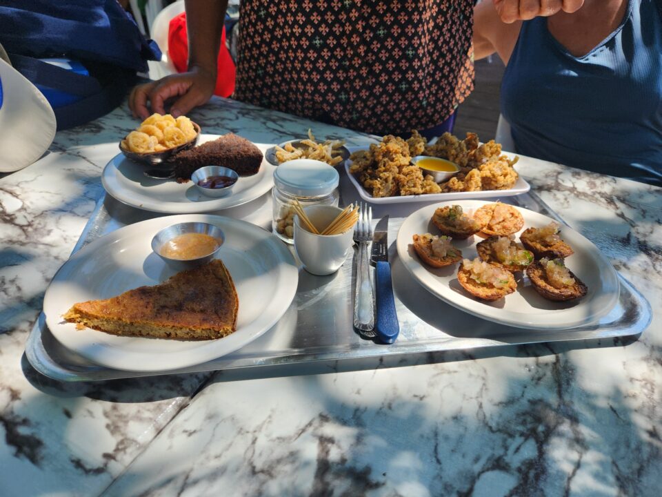 Pratos preparados da Vitória-régia - Jardim de Vitórias-régia da Dona Dulce - Alter do Chão - PA - Vamos Trilhar