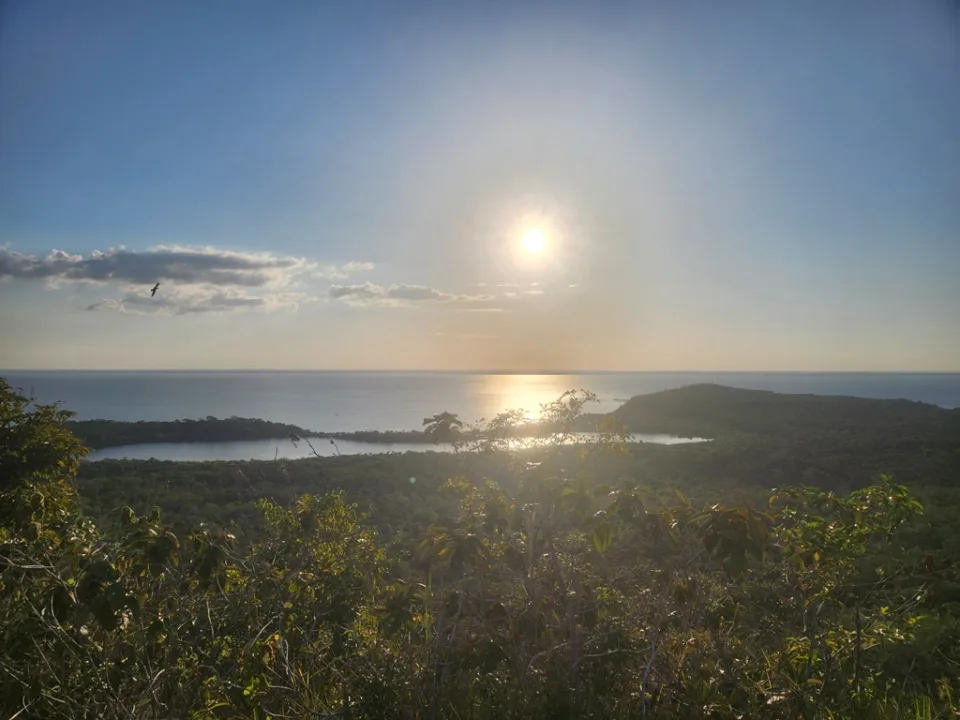 Precisa de guia na trilha da Serra da Piraoca - Alter do Chão - PA - Vamos Trilhar