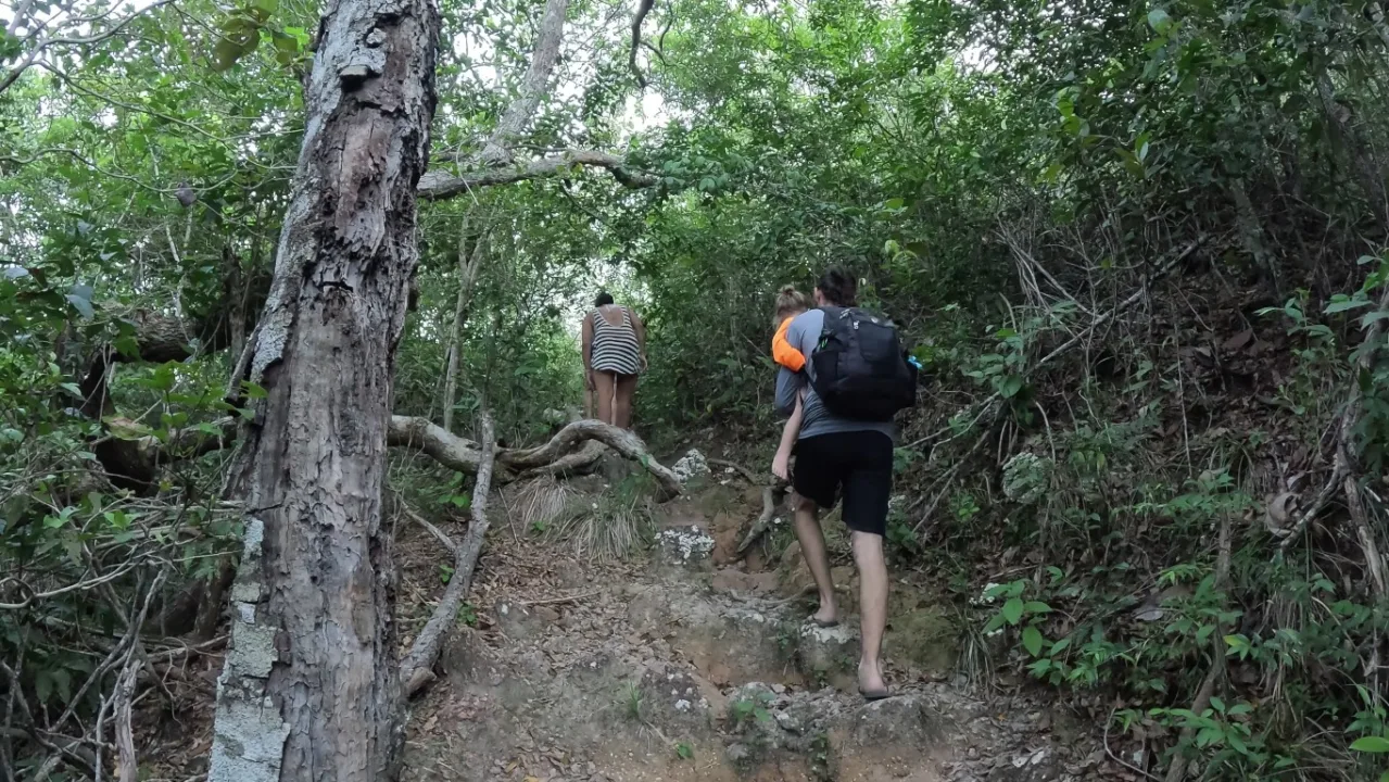 Subindo a trilha da Serra da Piraoca - Alter do Chão - PA - Vamos Trilhar