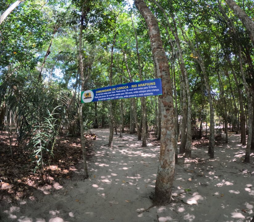 Trilha na Comunidade Coroca - Passeio das Tartarugas Amazônicas - Alter do Chão - PA - Vamos Trilhar