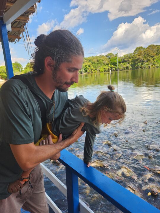 Vale a pena levar crianças no Passeio das Tartarugas Amazônicas - Alter do Chão - PA - Vamos Trilhar