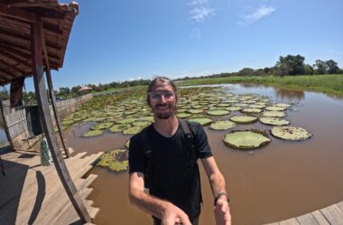 Vitória-régia em Alter do Chão: guia do Jardim da Dona Dulce