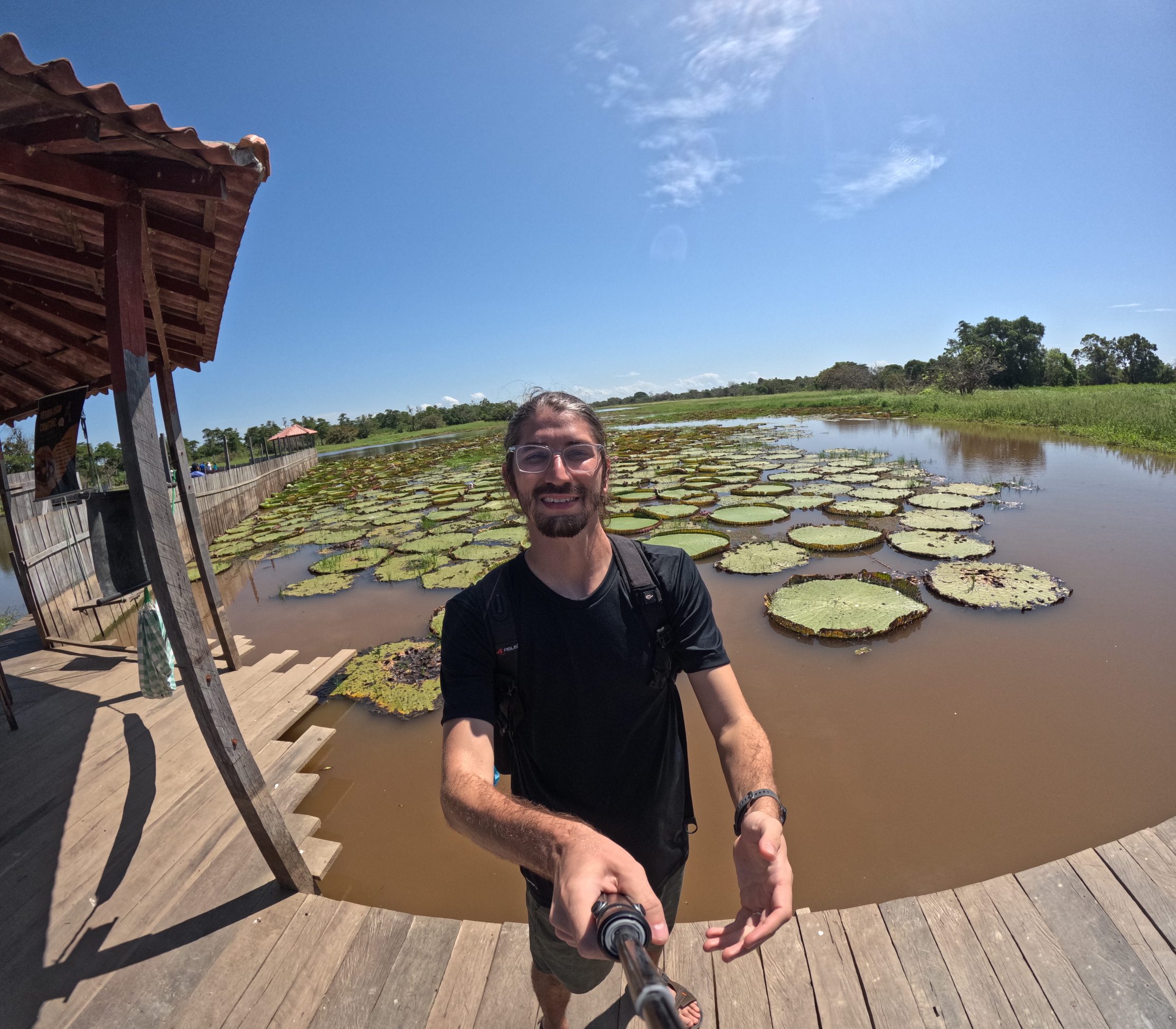Vitória-régia em Alter do Chão guia do Jardim da Dona Dulce - Vamos Trilhar