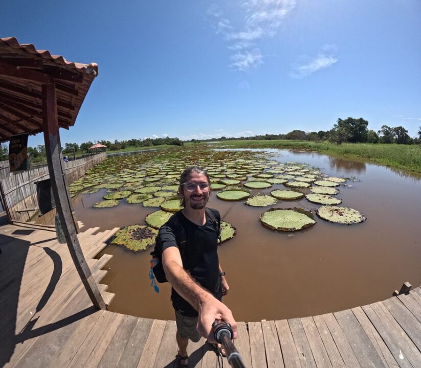 Vitórias-régia - Canal do Jari - Alter do Chão - PA - Vamos Trilhar
