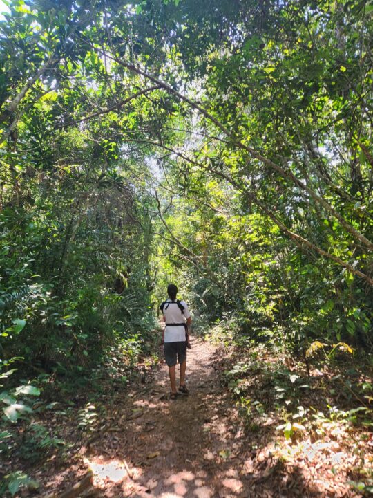 Voltando na trilha do FLONA Jamaraquá - Tapajós - Alter do Chão - PA - Vamos Trilhar