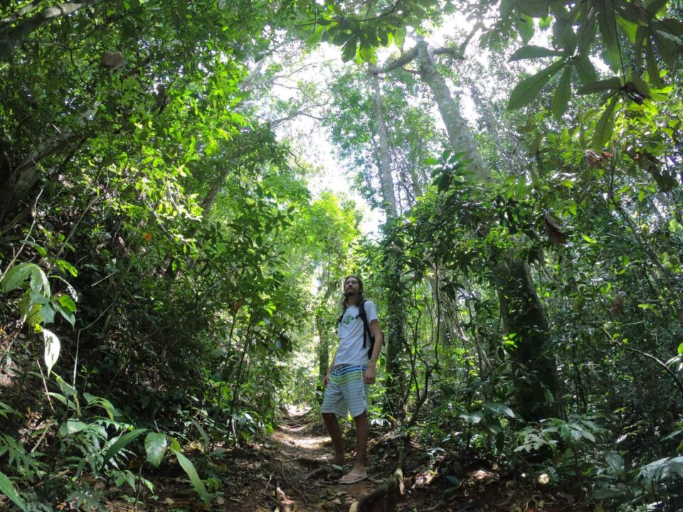 Como chegar na Cachoeira da Gruta, no Horto - Floresta da Tijuca - RJ - Vamos Trilhar