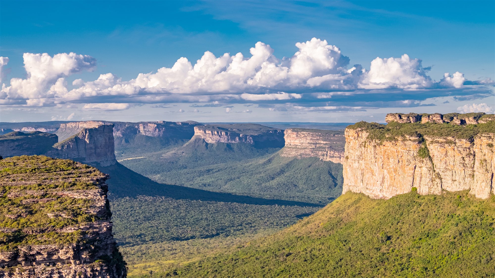 Refúgio de Vida Silvestre Serra da Chapadinha, nova área protegida na Chapada Diamantina