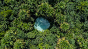 Fervedouro cercado de buritis no Jalapão visto de cima