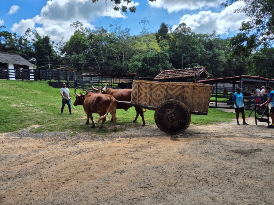 Carro de boi - Hotel Fazenda Cascatinha - Piraí - RJ - Vamos Trilhar