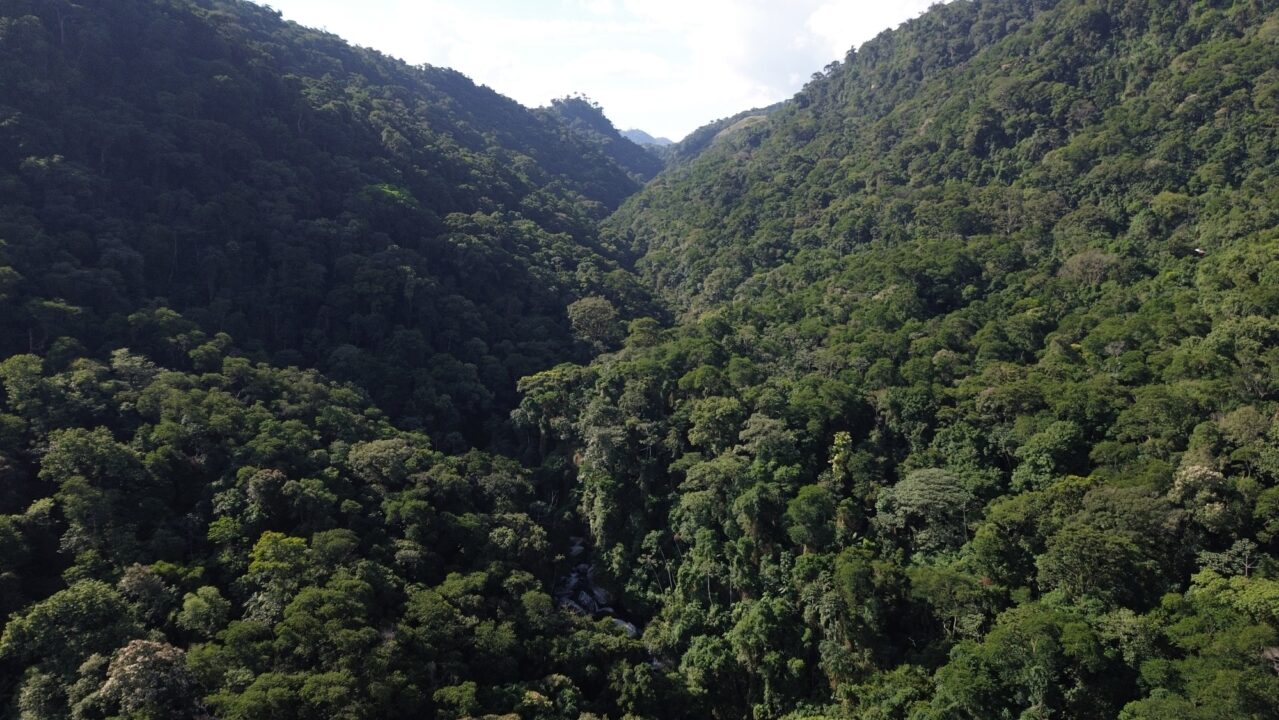 Como é a Serra do Piloto - Pousada Mirante Imperial - Serra do Piloto - Mangaratiba - RJ - Vamos Trilhar