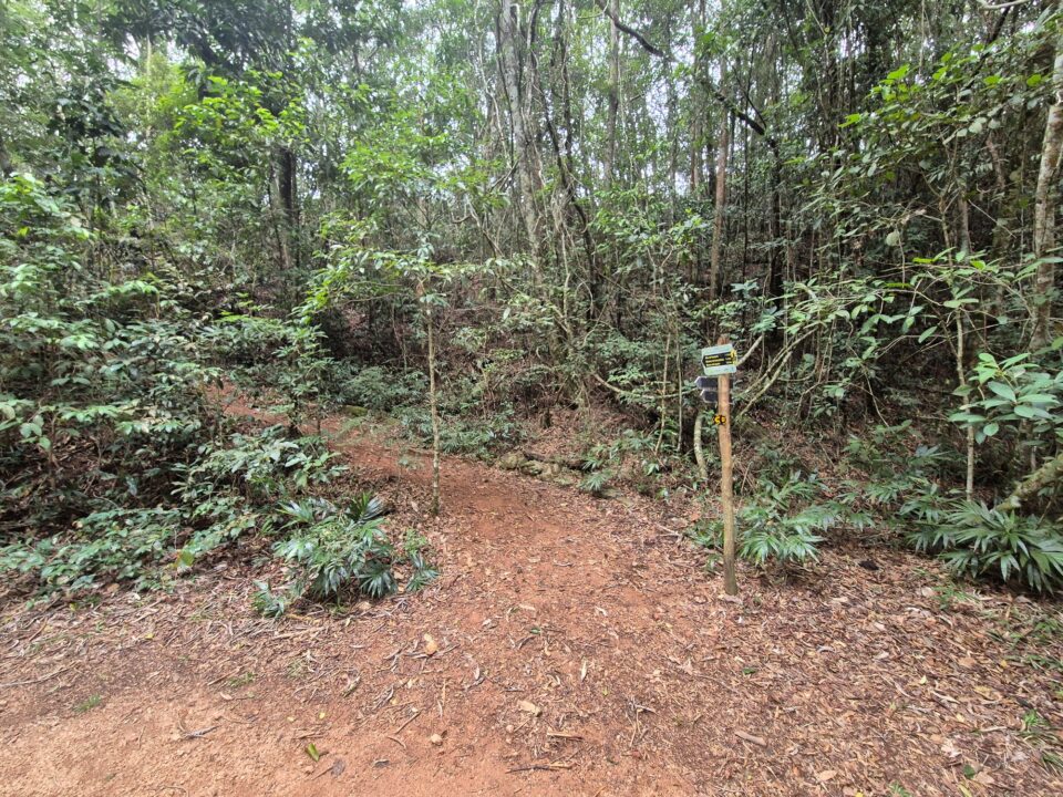 Entrada da trilha do Mirante da Cascatinha - Floresta da Tijuca - RJ - Vamos Trilhar