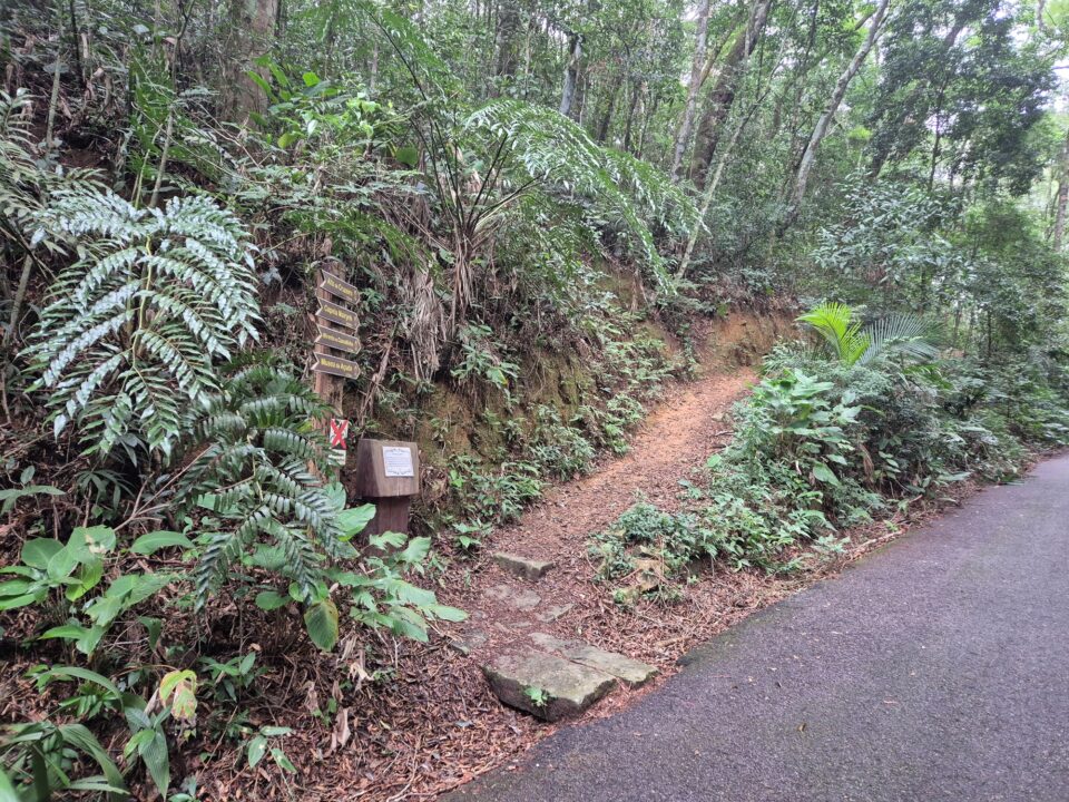 Entrada pelo Recanto dos Pintores - Mirante da Cascatinha - Floresta da Tijuca - RJ - Vamos Trilhar