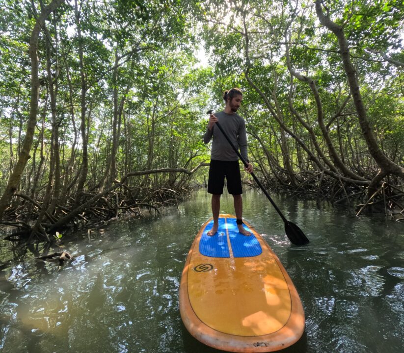Perguntas Frequentes sobre a Casa do Remo - SUP em Guaratiba - RJ - Vamos Trilhar