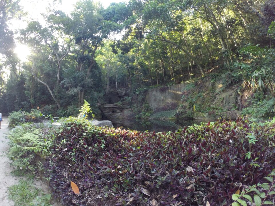 Quais são os dados práticos do Parque Lage