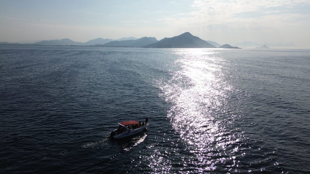 Qual é a rota migratória das baleias jubarte até o Rio de Janeiro - Vamos Trilhar