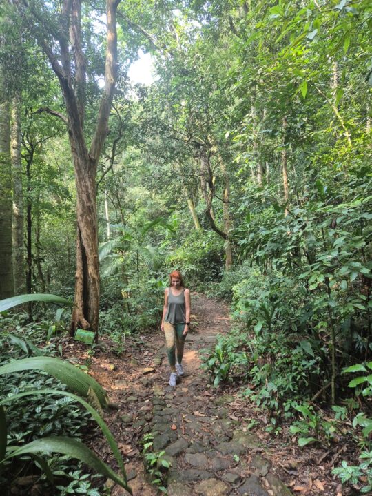 Subindo a trilha do Mirante da Cascatinha - Floresta da Tijuca - RJ - Vamos Trilhar