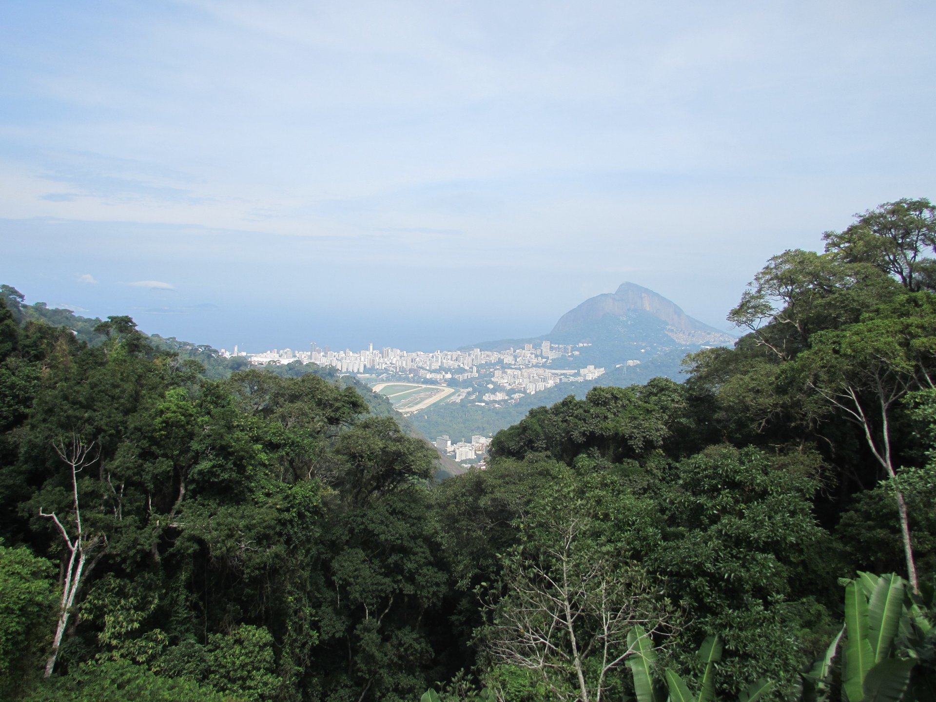 Floresta da Tijuca com a cidade do Rio de Janeiro e o Morro Dois Irmãos ao fundo